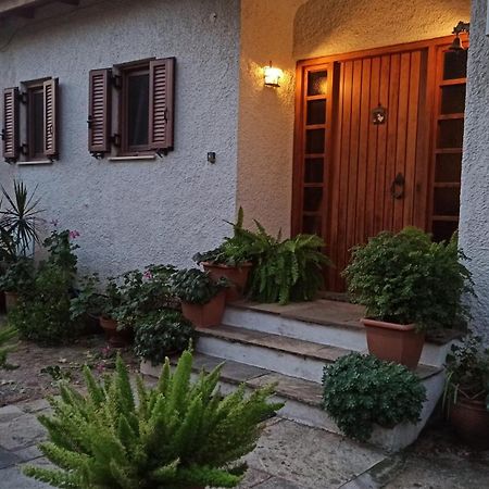 Nafpaktos Cottage By The Sea For Travelers And Dreamers! 외부 사진