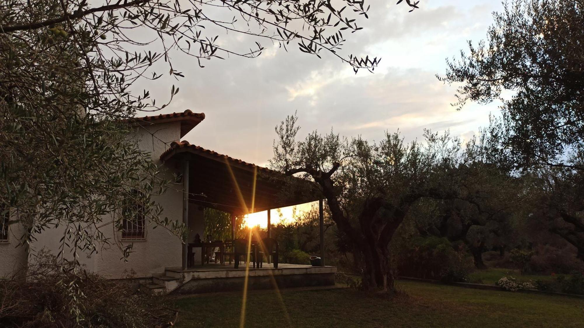 Nafpaktos Cottage By The Sea For Travelers And Dreamers! 외부 사진