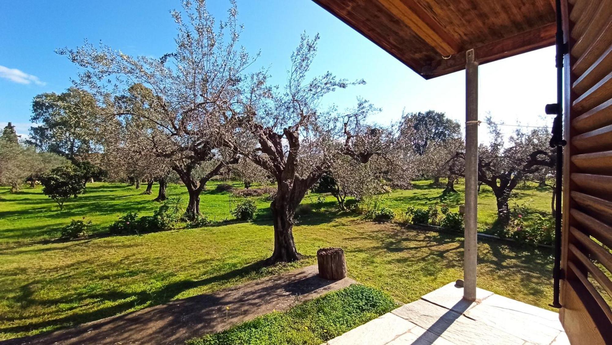 Nafpaktos Cottage By The Sea For Travelers And Dreamers! 외부 사진